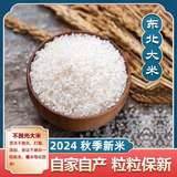 东北大米梅河口大米圆粒米2024年秋季首批新米 2024新米推荐5kg