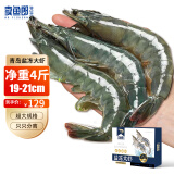 卖鱼郎先生青岛大虾 净重4斤 40-60只白虾大虾基围虾对虾2kg海鲜生鲜 虾类