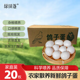 绿田逐 新鲜农家散养精选鸽子蛋20枚 350g 源头直发