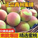 格沃斯正宗山东青州蜜桃青皮桃子冬雪蜜桃桃子脆桃应季水果 大果带箱5斤装【买3斤送2斤】