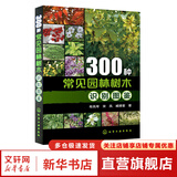300种常见园林树木识别图鉴