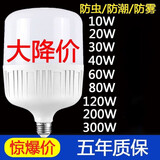 LED灯泡超亮节能灯泡e27螺口螺纹球泡家用工厂白光大功 超光20W2个装高配省电款