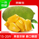 京鲜生海南菠萝蜜 15-20斤 净重15斤 中秋节送礼 生鲜水果 源头直发
