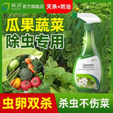 皎洁蔬菜杀虫剂非无毒菜园专用喷雾辣椒瓜果蔬除蚜虫杀虫剂农药大全 500ml 1瓶 【果蔬专用杀虫剂】