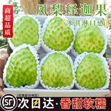 甜萌果蔬广西牛奶释迦果番荔枝摩尼佛头果【顺丰多地次日达】新鲜水果礼盒 3斤装【80%选择丨店长力荐】净2.5斤 【精品福果·诚心之选】单果约150g+