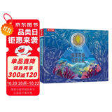 光里游世界 海洋奇境寻踪之旅 4岁+儿童科普绘本（提高想象力和观察力）揭秘海洋世界