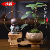 OIMG菩提树盆栽禅意小盼菩提盆栽植物室内花四季客厅观叶办公室绿植 小盼菩提+果子+莲花盆+铺面石+沙弥摆件+木托 带盆栽好