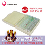 凤凰（Phenix）显微镜标本切片载玻片盖玻片套装动物植物细胞昆虫标本儿童实验 25片装