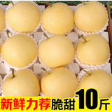 卉双正宗河北皇冠梨10斤新鲜现摘水果脆甜多汁皮薄超脆甜无渣砀山梨整 皇冠梨  带箱3斤