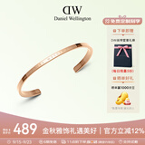 丹尼尔惠灵顿（DanielWellington）dw手镯女时尚首饰玫瑰金情侣对镯生日礼物送女友DW00400003