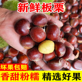 新鲜丹东大板栗生栗子现摘新货糖炒油栗毛板栗仁锥板栗子蔬菜生鲜 5斤 精选大果净重4.5斤