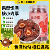 粒上皇半边梅408g 蜜饯果干果脯话梅休闲零食梅子干酸甜办公室小零食