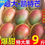 四川攀枝花凯特芒果礼盒装 新鲜一级果王当季水果特大甜芒现货 3斤装（单果400g-500g） 【一级果王】