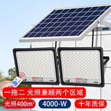 远盛达太阳能照明灯户外庭院灯家用投光灯光伏太阳灯室外防水路灯大功率 一拖二40000-W+光照400㎡+10米线 升级加强高配置+电量显示