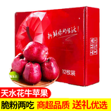 金百粟甘肃天水花牛苹果粉面红蛇大果 老人婴儿当季新鲜苹果水果生鲜 5斤12枚精品75-80mm[苹果礼盒装]