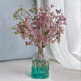 京东鲜花 国产澳洲腊梅 粉色 45cm 5枝