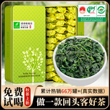 HJ 铁观音 茶叶2025新茶秋茶特级清香型安溪乌龙茶节日礼盒装500克 500g