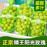 庾丰四川阳光玫瑰葡萄 新鲜水果整箱 中秋送礼 团购 茉莉香印晴王青提 5斤装（净果4斤）单果8g+ JD/顺丰快递 送货上门