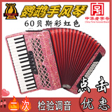 鹦鹉（YINGWU）手风琴键盘 中华老字号初学入门成人儿童专业演奏考级乐器 60贝司彩虹色YW823+大礼包
