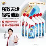 威王洁厕液500g*6瓶 强效去垢洁厕灵 厕所马桶清洁剂除菌去味家庭清洁