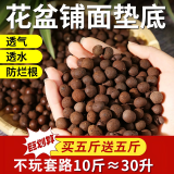 大海边 陶粒养花专用垫底多肉花盆铺面园艺鱼缸水培回填轻质大颗陶粒 大号【1.5-2.0cm】 买30斤+20斤发50斤【约100升】
