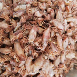 特产优联新货小海兔干货500克特级海兔子小鱿鱼墨鱼仔籽乌乌贼干笔管鱼干 500g