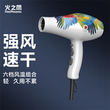 火之凤吹风机理发店专用 电吹风筒 负离子2200W大功率发廊大风力速干家用高速恒温护发不伤发8960 8960H白鹦鹉(2400W)