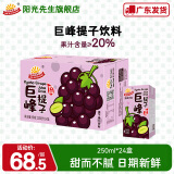 阳光先生（MR.SUNSHINE）混合口味 茅根竹蔗水提子汁果汁饮料250ml*24盒 多口味整箱装 巨峰提子汁24盒