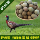 九万鹏七彩山鸡蛋土鸡蛋柴鸡蛋农家杂粮喂养新鲜发货 七彩山鸡蛋60枚