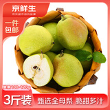 京鲜生新疆库尔勒香梨3斤装 全母梨 单果100-120g 源头直发 包邮
