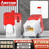 安普康（AMPCOM）网络面板超六类 单口CAT6A非屏蔽万兆网线UTP免打模块插座 RJ45镀金水晶头86型一位网口AC6A11WT