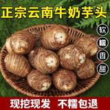 正宗云南牛奶小芋头新鲜红芽毛芋头当季芋艿香芋现挖现发3批发5斤 1斤 小果30-50g(乒乓球大小)