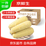 京鲜生东北白糯玉米330g*8根 甜黏玉米低脂早餐代餐粗粮真空装 源头直发