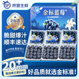 山姆伯伯云南花香蓝莓【顺丰/邮政空运-多低次日达】新鲜应季水果送礼盒装 【金标臻选级果王】单果18-20mm 125g*4盒装【爆款推荐-80%选】净100g