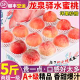 粤迎四川成都龙泉驿水蜜桃【JD顺丰空运多地次日达】现摘现发水果生鲜 净5斤特级果9-12枚【单果200g+】