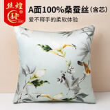 丝煌真丝抱枕套桑蚕丝靠垫套午睡靠枕客厅沙发汽车方形枕头套含芯 K春色满园3707【单个装】 45cm*45cm 含枕芯