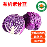 【顺丰】有机紫甘蓝 紫包菜卷心菜沙拉榨汁健康轻食有机蔬菜 3斤