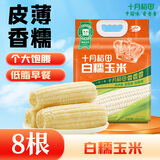十月稻田 白糯玉米 4.16斤(260g*8根) 东北甜黏玉米棒 早餐苞米 低脂零食