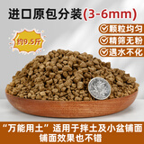 CPAI日本进口赤玉土三本线正品多肉专用土盆景专用铺面硬质营养土 进口原包赤玉土3-6mm【9.5斤】 正品进口假一赔十