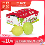 京鲜生 河北雪花梨 净重10斤 单果300g+ 生鲜水果礼盒