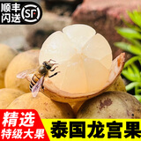 千果娘娘泰国进口新鲜龙宫果热带水果香果龙贡爱情果椰色果顺丰 【商超5A级大果】 【商超5A级大果】1斤