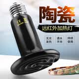 爬将军陶瓷加热灯陆龟蜥蜴爬虫箱陶瓷保温灯宠物刺猬饲养箱爬宠鹦鹉用品 迷你陶瓷灯25w