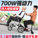 【安全出行款】美国Ainsnbot智能遥控电动轮椅车全自动越野老年人双人可折叠轻便旅行专用十大排名 [3]银-CE认证安全锂电 32AH