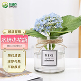 吕姆克花瓶玻璃插花摆件仿真花水培水养植物容器绿萝透明玻璃小花瓶5296