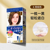 塔丽雅（Dariya）日本SALON de PRO染发剂膏黛莉亚Dariya男女士盖白发染发膏遮白发 4号亮棕色