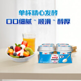 明治meiji【国内奶源】保加利亚式酸奶 清甜原味100g×4杯  特选LB81乳酸菌