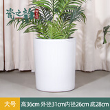 大号特大号高筒陶瓷花盆发财树天堂鸟大口径30以上绿植大花盆 白色直筒低腰（大号）