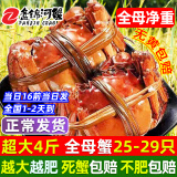 【活蟹】网兜蟹特大辽宁盘锦河蟹稻田河蟹礼盒鲜活螃蟹鲜活大闸蟹 全母蟹 1.4-1.6两【4斤】25-29只
