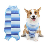 拉维佩特（LOVINGPET）狗绝育手术服 小型犬绝育衣服狗狗术后服公狗母狗绝育服 蓝色 XL 建议12-18斤