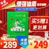 仙牌灵芝茶60包/盒纯灵芝提炼增强体质免疫抗疲劳 中老年养生保健调理